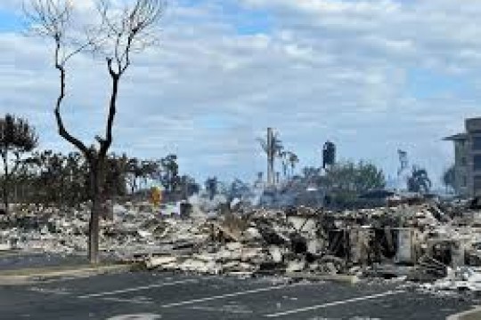 ارتفاع ضحايا الحريق بهاواي الى 93 قتيلا