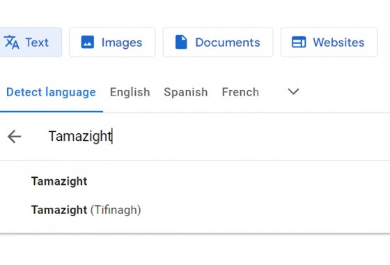 "غوغل" يدرج اللغة الأمازيغية ضمن خيارات الترجمة