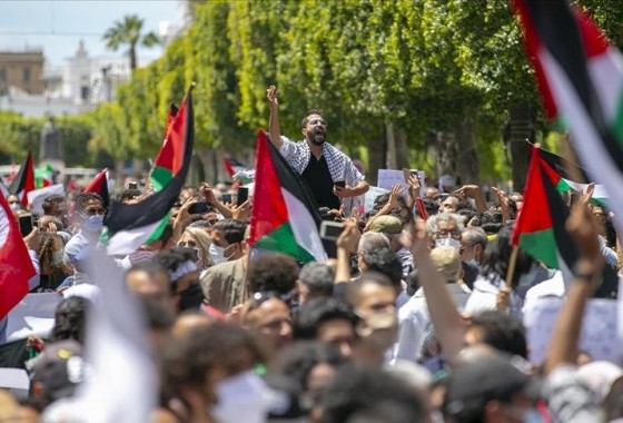 مظاهرة في تونس احتجاجا على جرائم الإبادة بغزة