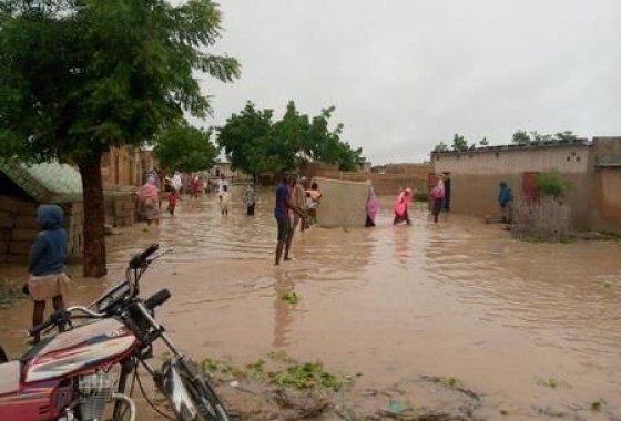 فيضانات النيجر تودي بأكثر من 150 شخصا