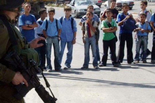 الاحتلال يعتقل فتاة ويقتحم مدرسة ويحتجز معلمين في الخليل