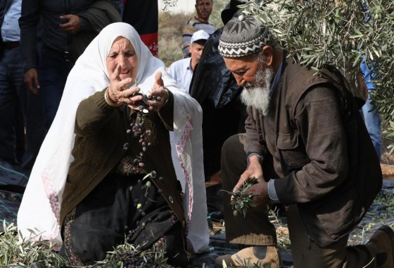 مهرجان فلسطين الدولي يختتم فعالياته