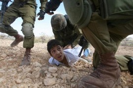 عريضة أميركية تطالب بدعم مشروع قرار يوقف تمويل انتهاكات الاحتلال لحقوق الإنسان في فلسطين