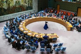 بطلب من الجزائر: مجلس الأمن يبحث الوضع في غزة عقب قتل 7 موظفين في "المطبخ المركزي العالمي"