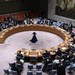 مجلس الأمن يحيل طلب عضوية فلسطين الأممية إلى اللجنة المعنية