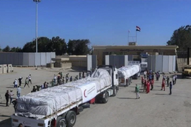 مصر تقرر زيادة عدد شاحنات المساعدات لغزة إلى 300 يوميا عبر رفح