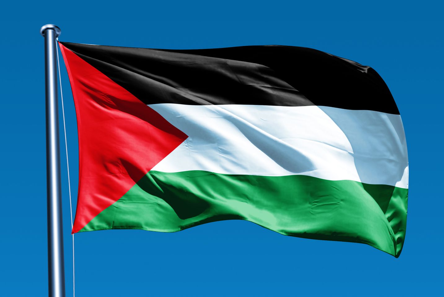 العلم الفلسطيني.. رمز السيادة وعنوان الهوية الوطنية