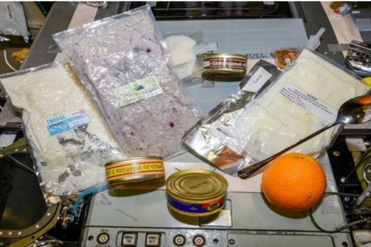 كم تكلف وجبة غذاء رائد الفضاء الروسي؟