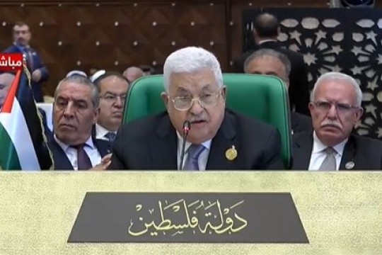(محدث) الرئيس يدعو القمة العربية لتشكيل لجنتين وزاريتين لدعم فلسطين سياسيا وقانونيا