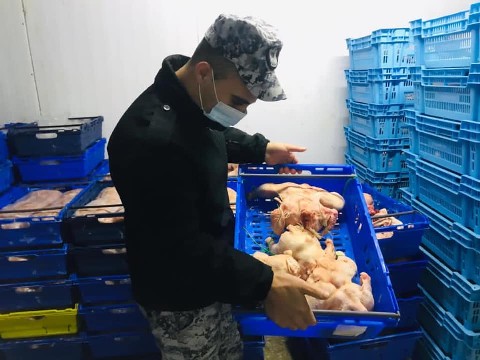 ضبط طن ونصف دجاج لاحم مهرب من إسرائيل في طولكرم