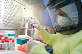 33 وفاة و2418 إصابة جديدة بفيروس كورونا في فلسطين خلال الـ24 ساعة الأخيرة