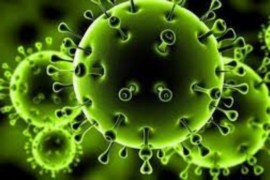 19 وفاة و1774 اصابة جديدة بفيروس كورونا في الضفة والقطاع خلال الـ 24 ساعة الماضية