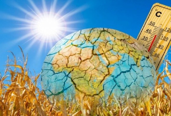 الأمم المتحدة تحذر من "وباء" اشتداد الحرارة على الكرة الأرضية