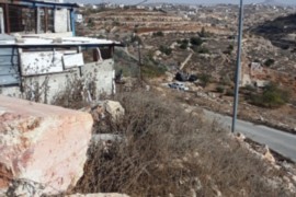 100 مستوطن يقتحمون الأقصى بينهم وزير إسرائيلي سابق