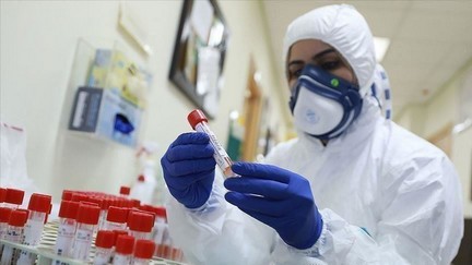 4 وفيات و115 إصابة جديدة بفيروس "كورونا" و424 حالة تعافٍ