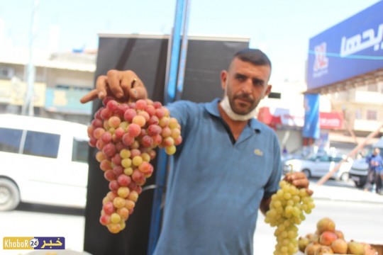 بالصور.. سوق العنب في الخضر فرصة لترويجه ومساعدة المزارعين على بيعه