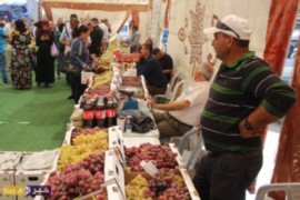 بالفيديو والصور.. سوق العنب في الخضر فرصة لترويجه ومساعدة المزارعين على بيعه