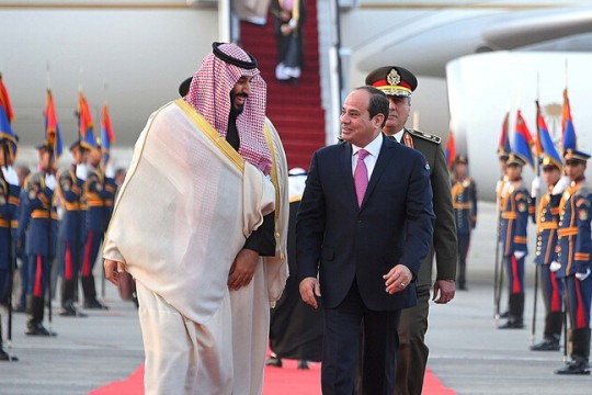 مصر والسعودية تشددان على ضرورة تكثيف الجهود للتوصل إلى تسوية شاملة وعادلة للنزاع الفلسطيني الإسرائيلي