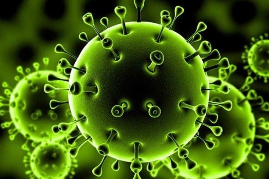 4 وفيات و192 إصابة جديدة بفيروس "كورونا" و629 حالة تعاف