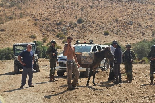 مستوطنون يقطعون اشجار زيتون ويهاجموا مركبات المواطنين ويعتدون على مسن بعد اختطافه بالضفة  