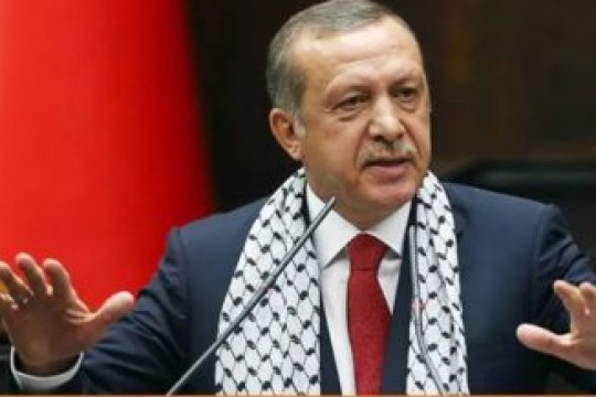 أردوغان يدعو المجتمع الدولي لرفع الصوت ضد سياسات الاحتلال الإسرائيلي في فلسطين