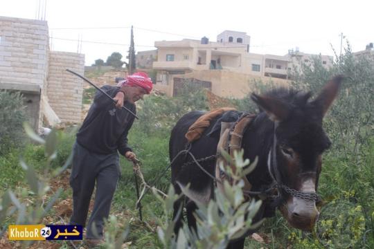 خالد العبد الله عاشق للأرض ومتمسك بمهنة الأباء والأجداد رغم الإعاقة