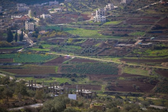 "تاج الساحل".. مشروع يهدف إلى تعزيز السياحة الداخلية