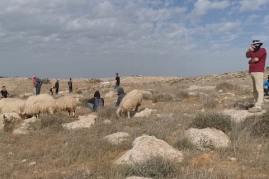 مستوطنون يسيجون محيط نبع عين الحلوة ويمنعون الرعاة من سقي مواشيهم