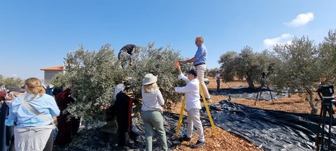 دبلوماسيون أوروبيون: إسرائيل كقوة محتلة ملزمة بموجب القانون الدولي بحماية الفلسطينيين من هجمات المستوطنين