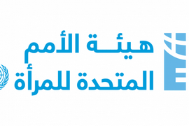 هيئة الأمم المتحدة للمرأة: مصطلحات العنف ضد المرأة