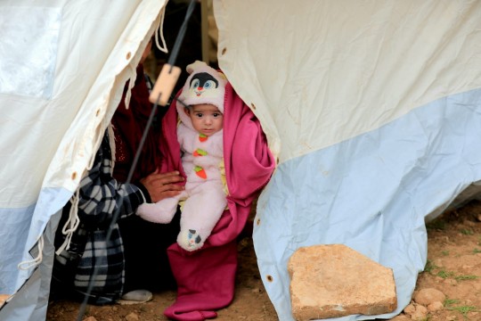 حمصة بين كف الإرادة الفلسطينية، ومخرز آلة دمار الإحتلال