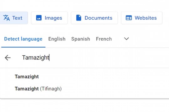 "غوغل" يدرج اللغة الأمازيغية ضمن خيارات الترجمة