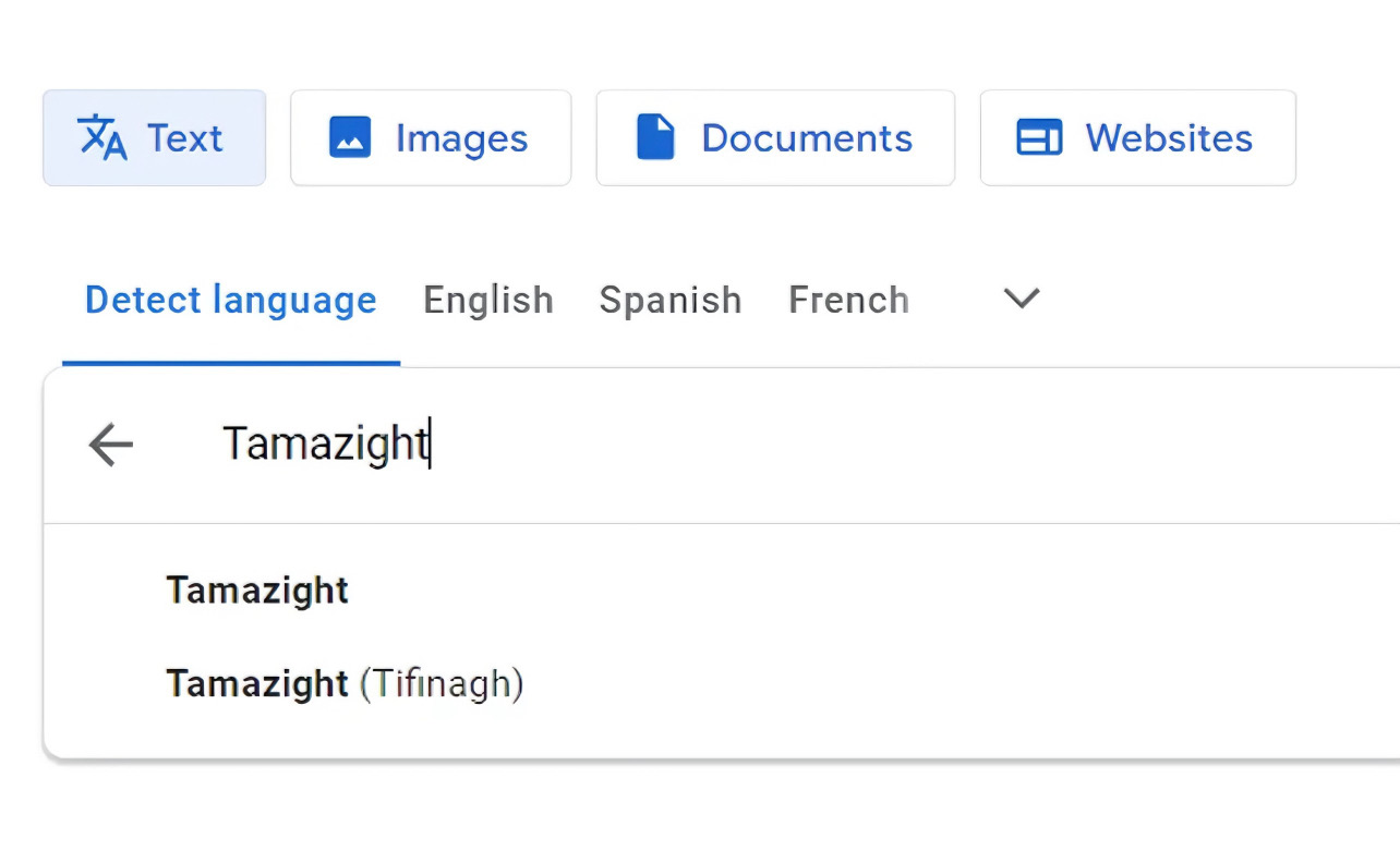 "غوغل" يدرج اللغة الأمازيغية ضمن خيارات الترجمة