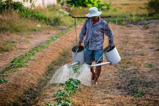 قريبًا.. النباتات ستطلب الماء بنفسها بفضل تقنيات الذكاء الاصطناعي